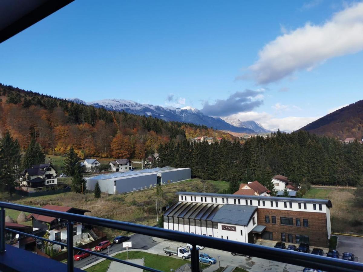 Bucegi View 39 - Colina Marei Apartment Sinaia Ngoại thất bức ảnh