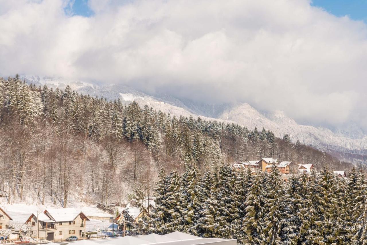 Bucegi View 39 - Colina Marei Apartment Sinaia Ngoại thất bức ảnh