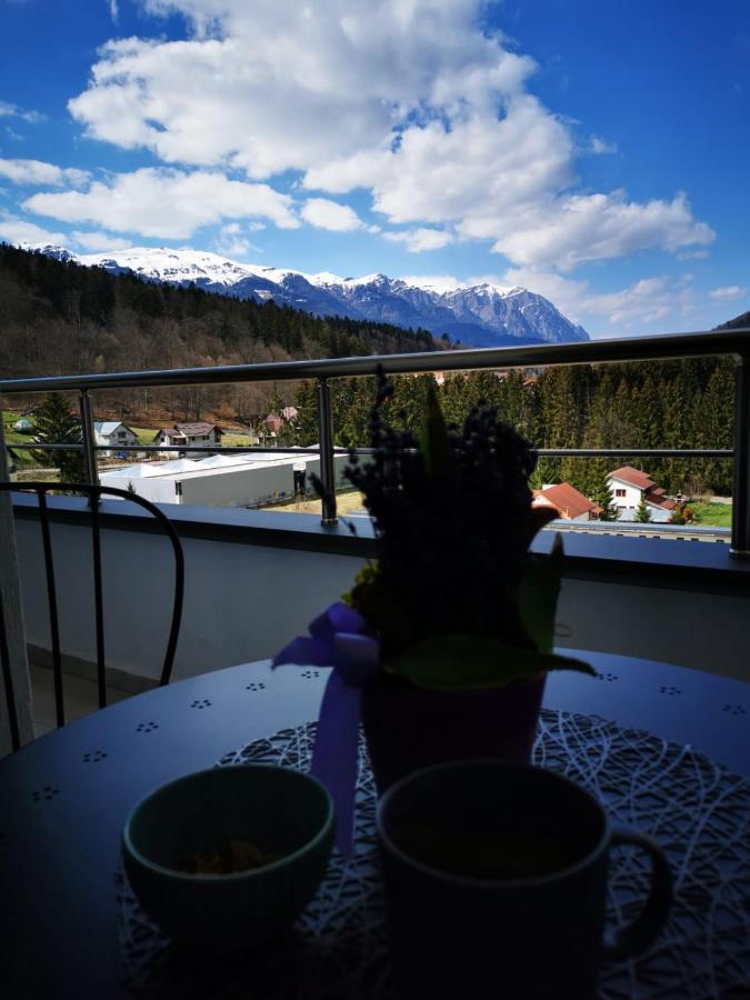 Bucegi View 39 - Colina Marei Apartment Sinaia Ngoại thất bức ảnh